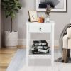FCH Two-layer Bedside Cabinet Coffee Table with Drawer White RT